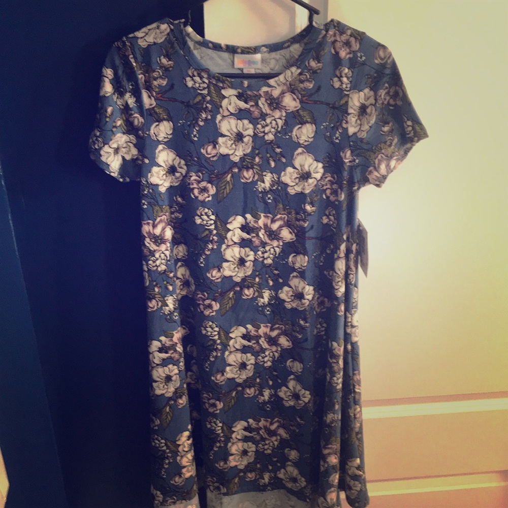 This is an XS Carly Dress. Bright floral pattern!